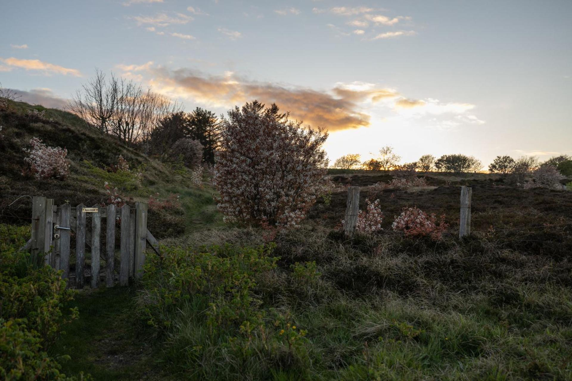 Reethus Keitum Mit Kamin Und Suedgarten In Direkter Wattnaehe Buitenkant foto